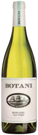 Moscatel, Botani