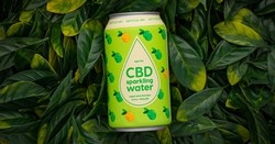 Untitled Art CBD Sparkling Water